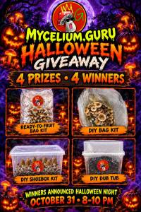 Halloween Giveaway