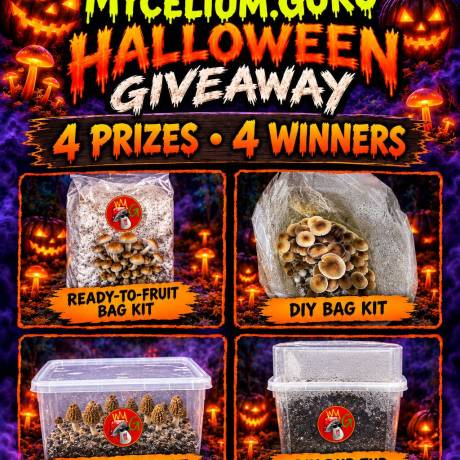Halloween Giveaway